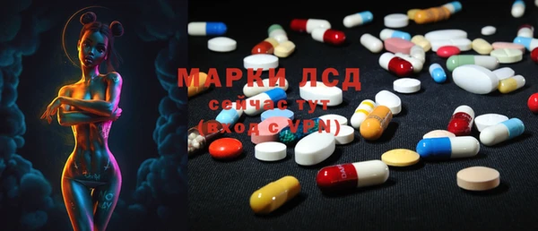 PSILOCYBIN Волосово