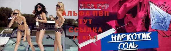 гидра Володарск