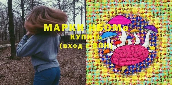 PSILOCYBIN Волосово