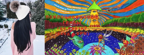 PSILOCYBIN Волосово