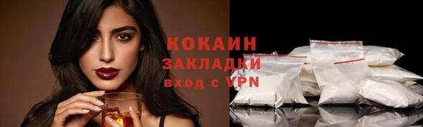 гидра Володарск