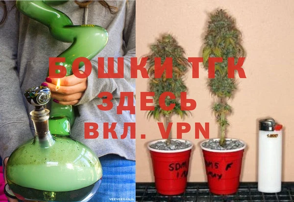 гидра Володарск