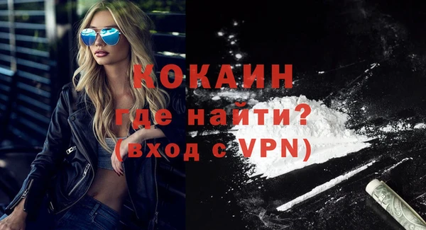 гидра Володарск