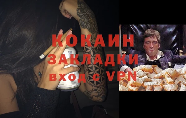 гидра Володарск