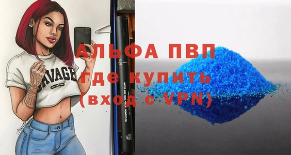 гидра Володарск