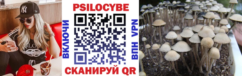 Псилоцибиновые грибы Magic Shrooms  Купить где  Краснотурьинск 
