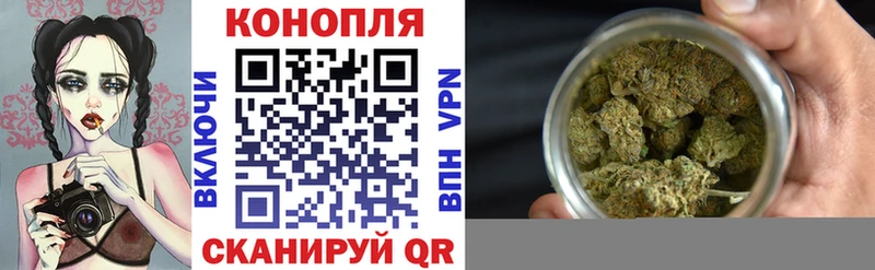 Каннабис ГИДРОПОН  Купить где  Краснотурьинск 